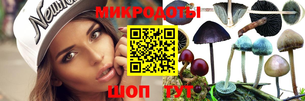 Псилоцибиновые грибы мицелий Краснокамск